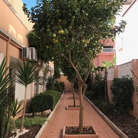 Apartment Ole Playa